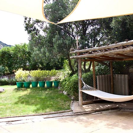 Loft De Montana Los Guayacanes San Jose de Maipo Luaran gambar